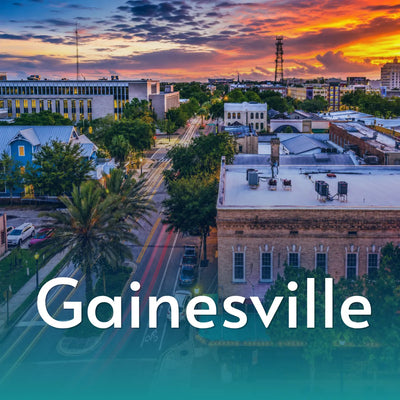 Ceramic Painting Workshop in Gainesville