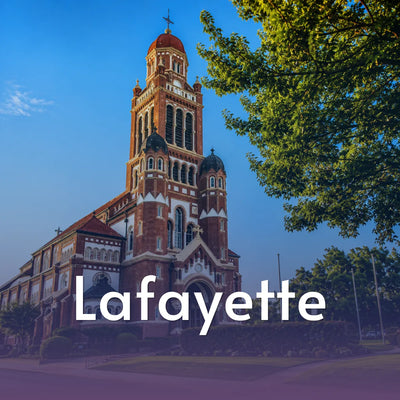 Ceramic Painting Workshop in Lafayette