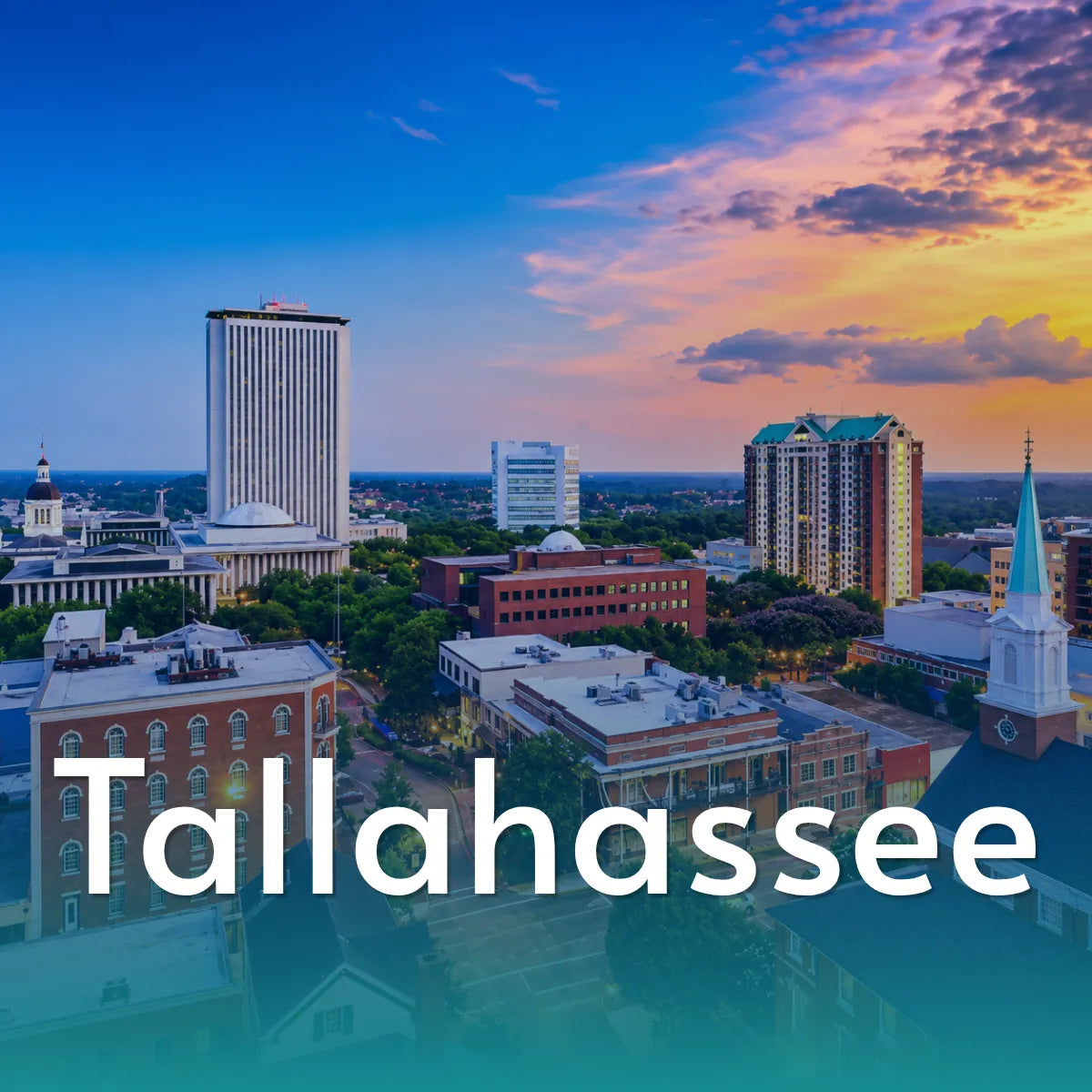 Ceramic Painting Workshop in Tallahassee