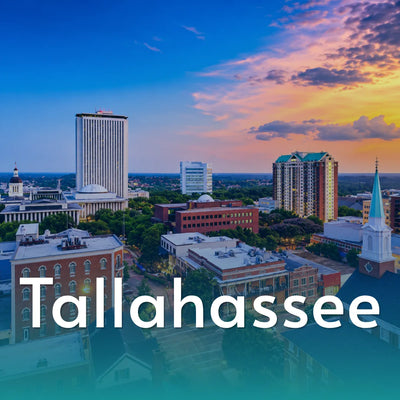 Ceramic Painting Workshop in Tallahassee